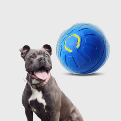 PELOTA MOVIMIENTO AUTOMATICA GRANDE /324852