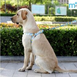 2.0 PRETAL MANGO SILICONA /119934