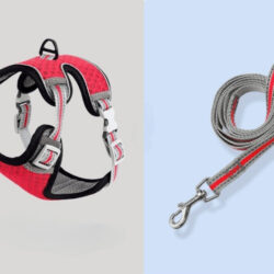 98-155# PECHERA REFLECTARIA C/CORREA M /082042