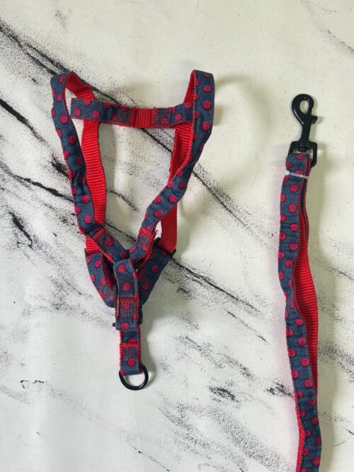 JL1.5 CORREA JEAN C/PUNTOS/  8206720003259