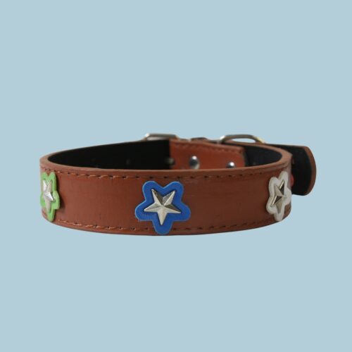 3.0 COLLAR C/5 ESTRELLAS COLOR /ESTRE5