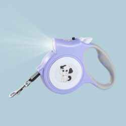 FG901# EXTENSIBLE C/LINTERNA /107703