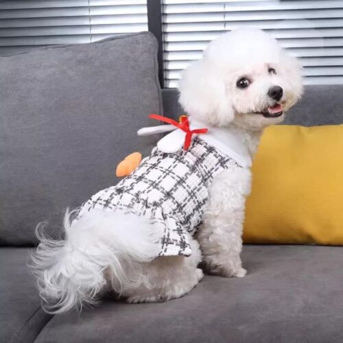 ROPA P/PERRO NUEVO /240510 - Imagen 3