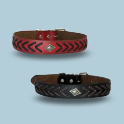 3.0 COLLAR CON SOGA /A00130X1HIL
