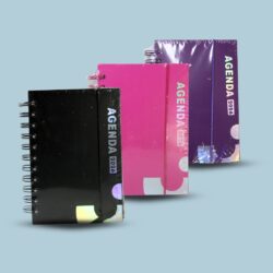 2026# AGENDA LISO CH /403166