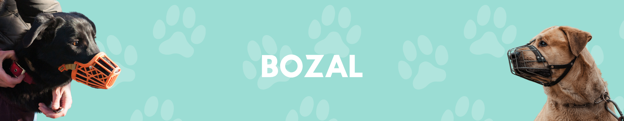 bozal-MAYORISTA-MASCOTAS