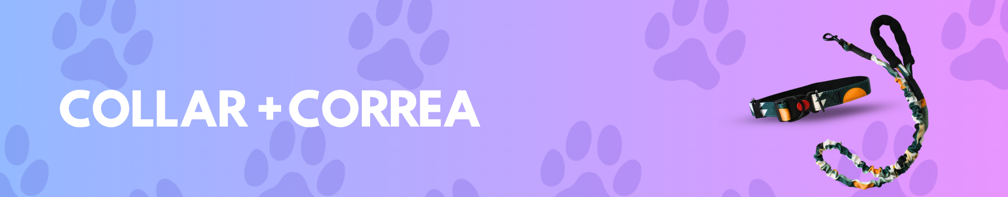 collar + correa