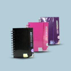 2026# AGENDA LISO CH /403166