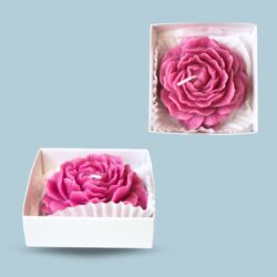 VELA SAHUMERIO ROSAS /515066