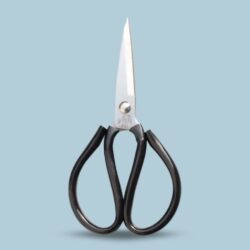 TIJERA NEGRA GR /616208