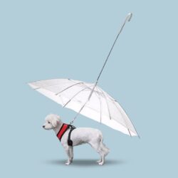 PARAGUAS PARA MASCOTA /426354