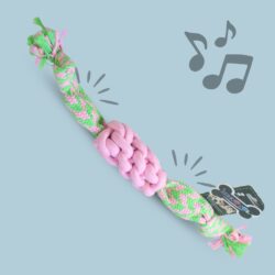 TRENZA CON CHIFLE /511037