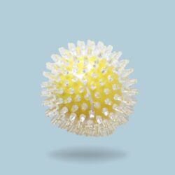 9.1CM PELOTA TRANSPARENTE CON PUAS /627028