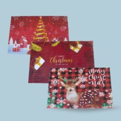 INDIVIDUAL NAVIDAD 6 PCS /812131