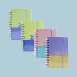 AGENDA BICOLOR CH /913672