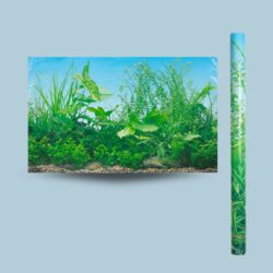 50CM LAMINA PARA PECERA