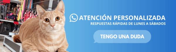 PET SHOP MAYORISTA ONCE