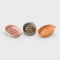 BOWL DE CERAMICA ZANAHORIA /920119