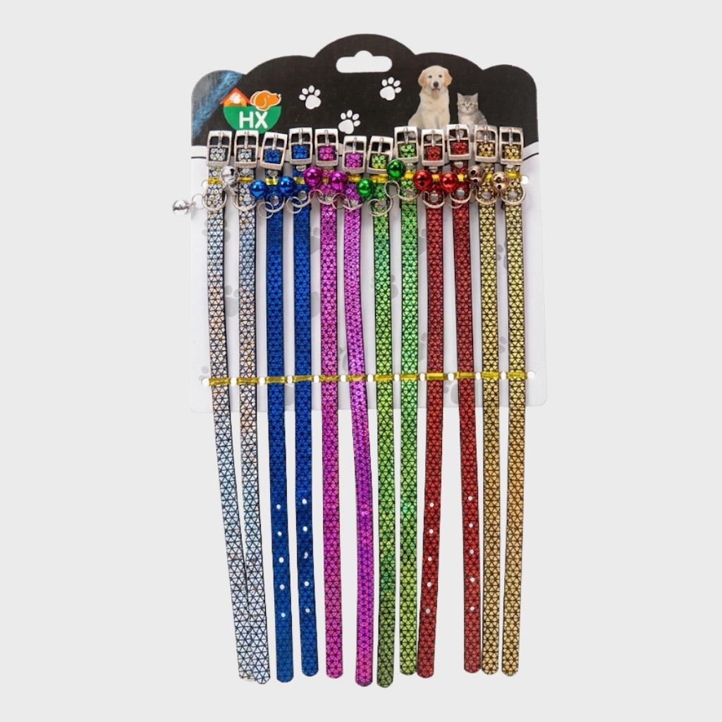 1.0 COLLAR HOLOGRAFICO /110941